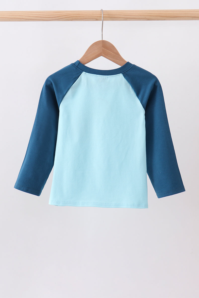 Teal Apple Embroidered Top